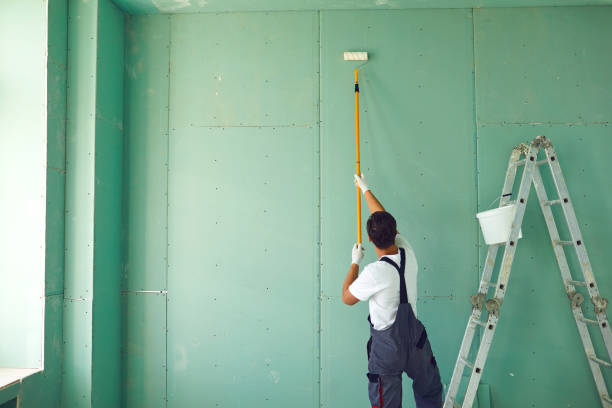 Best Black Mold Removal  in Mingo Junction, OH