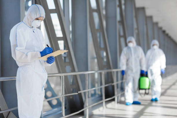 Professional Mold Removal in Mingo Junction, OH