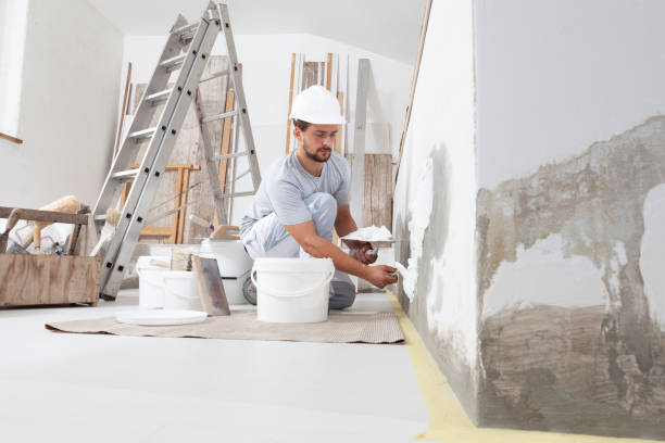 Best Commercial Mold Inspection  in Mingo Junction, OH