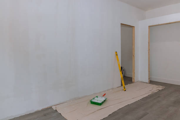 Best Post-Construction Mold Inspection  in Mingo Junction, OH