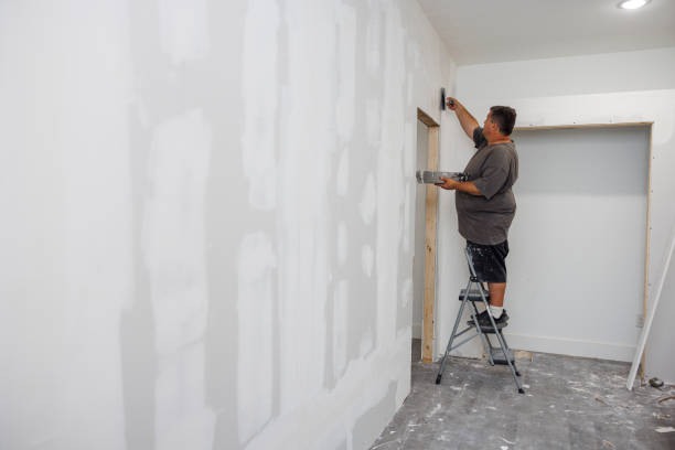 Best Mold Documentation for Insurance Claims  in Mingo Junction, OH